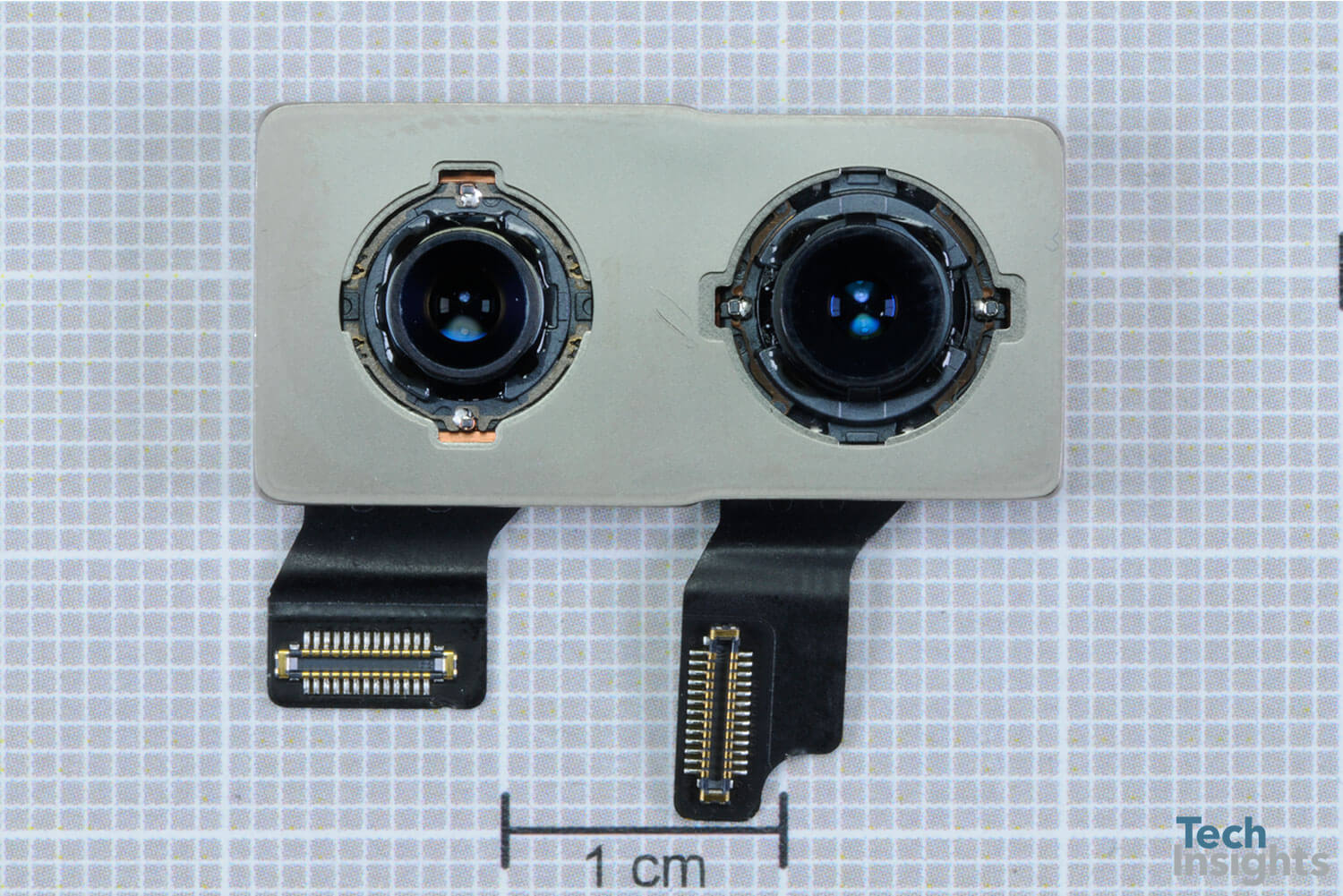 Rear-Facing Wide-Angle Camera